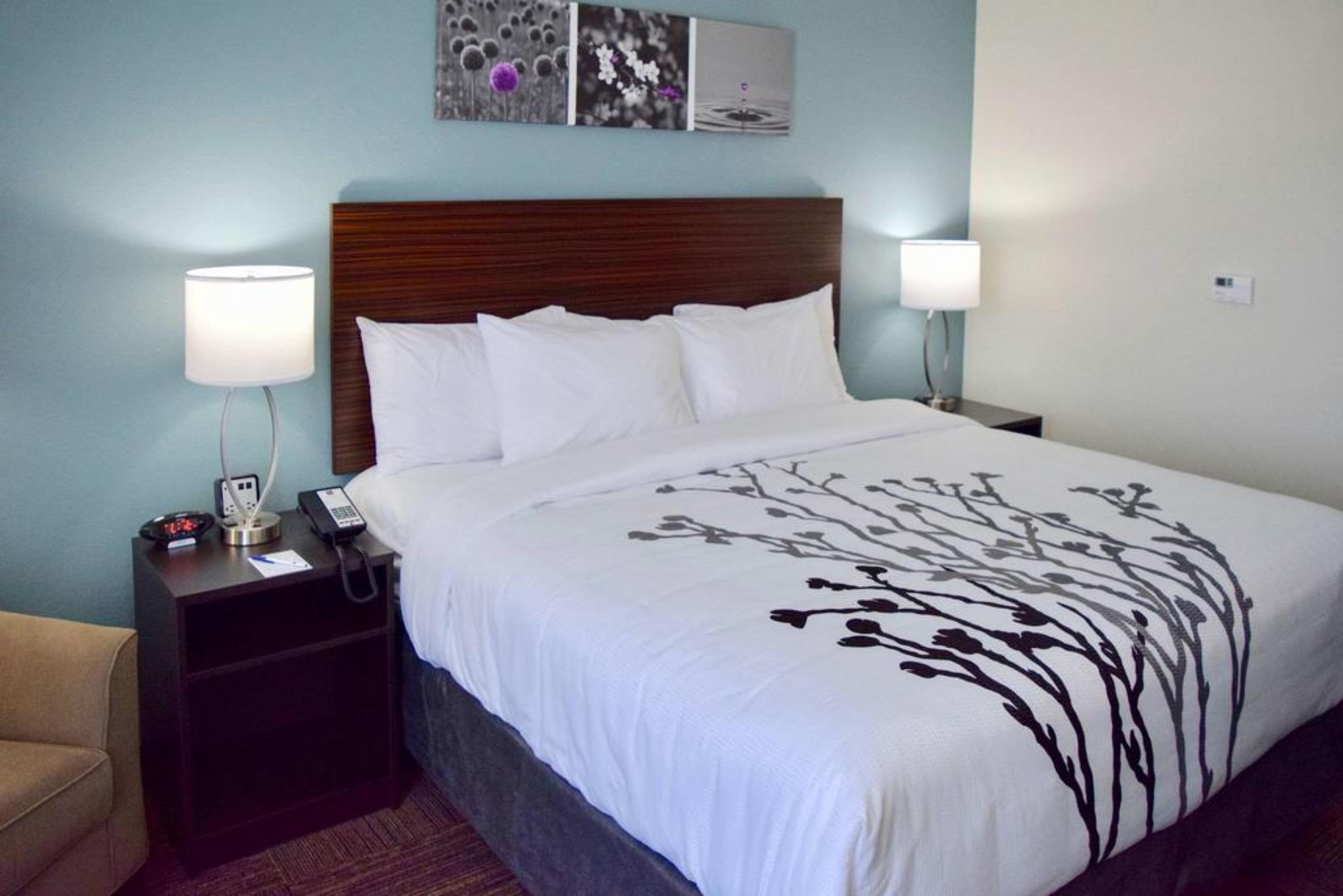 Sleep Inn & Suites Near Westchase Houston Luaran gambar