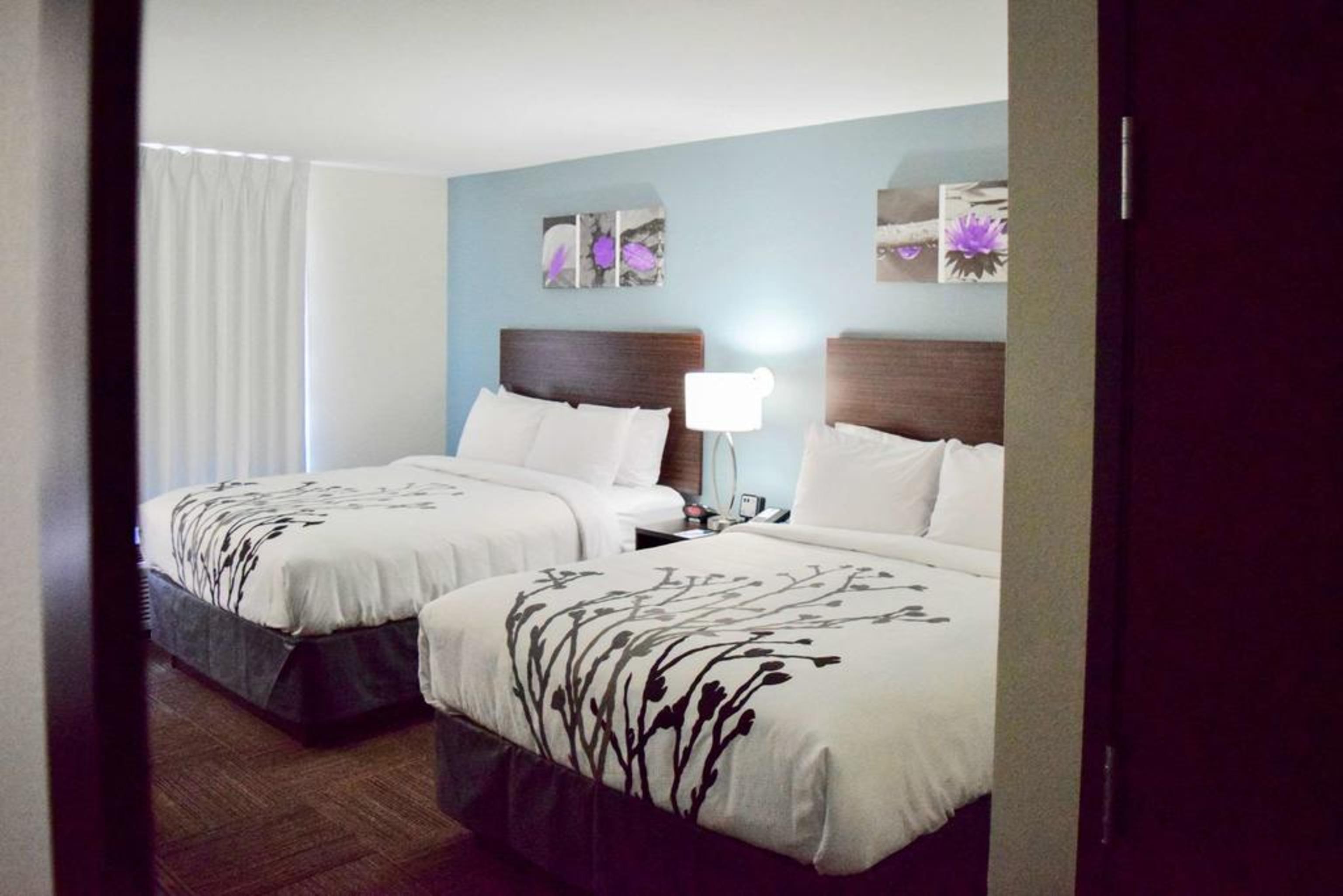 Sleep Inn & Suites Near Westchase Houston Luaran gambar